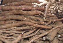 माघे संक्रान्ति नजिकिएसँगै तरुलको विक्री बढ्दै