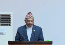 ३ सय ५५ ऐनसहित संघीयस्तरमा १ हजार १ सय ३० कानून निर्माण