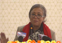 क्षमताको आधारमा न्यायाधीश नियुक्ति गर्नुपर्छः सपना प्रधान मल्ल