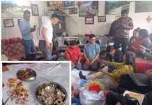 इलामको पाथीभरा मन्दिरमा भक्तजनको ओइरो, तीन वर्षमा करोडौँ भेटी र बहुमूल्य धातु सङ्कलन