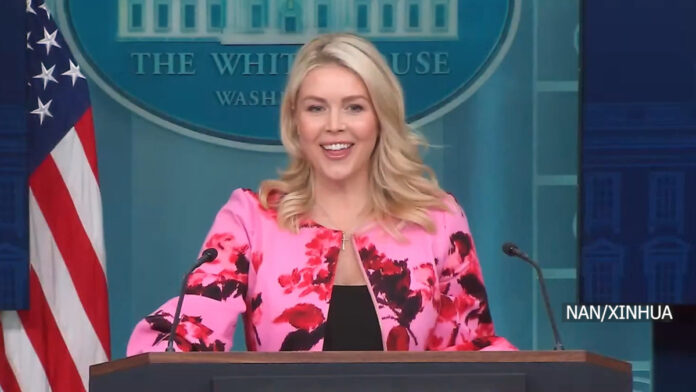 1775014047-AxQ9q (1)