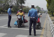 ट्राफिक लाईट पालना नगर्नेहरु कारबाहीमा