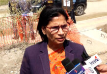 सरकारले साईबर अपराधमा संलग्नहरुलाई छिटोभन्दा छिटो कारबाही गर्नुपर्छः पद्मा अर्याल