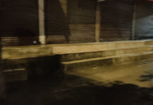 सिर्जना पौडेल केसीको विभत्स हत्याः बीच सडकमा टाउकोमा प्रहार गरी हत्यारा फरार