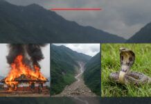 २०८२ः आगलागीबाट १०६ र सर्पदंशबाट १०१ जनाको मृत्यु, ३८ जना बेपत्ता