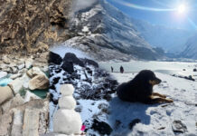 अन्नपूर्ण आधार शिविरः प्रकृति र आत्मचिनारीको संगम