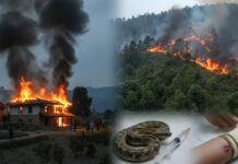 २४ घण्टामा २० विपद्का घटनाः २२ लाख बढीको क्षति