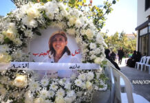 दक्षिण लेबनानमा इजरायली हवाई हमलामा पत्रकारको मृत्यु