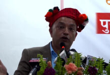 काँग्रेसको इतिहास र विरासत जोगाउनु आजको आवश्यकताः सभापति थापा