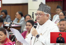 नेपाल–भारत सीमा विषयमा तेस्रो मुलुकलाई जोड्ने प्रयास नेपालको हित विपरितः काँग्रेस सांसद थापा